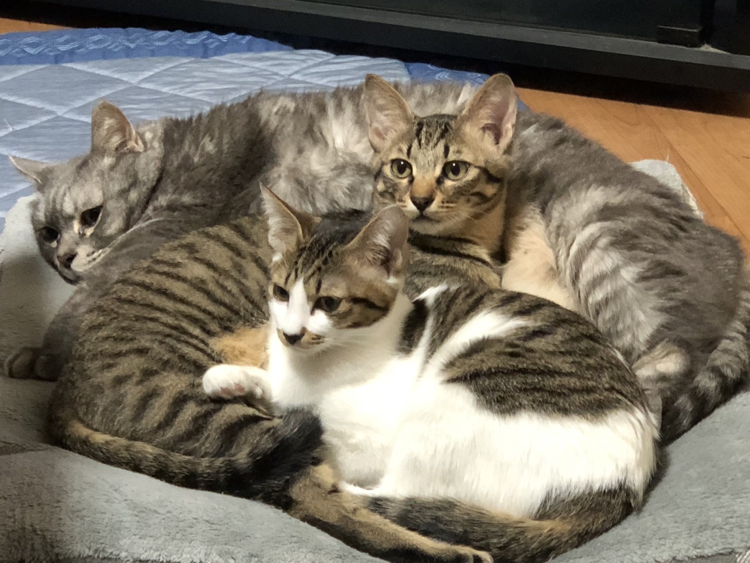 ヒカママブログ